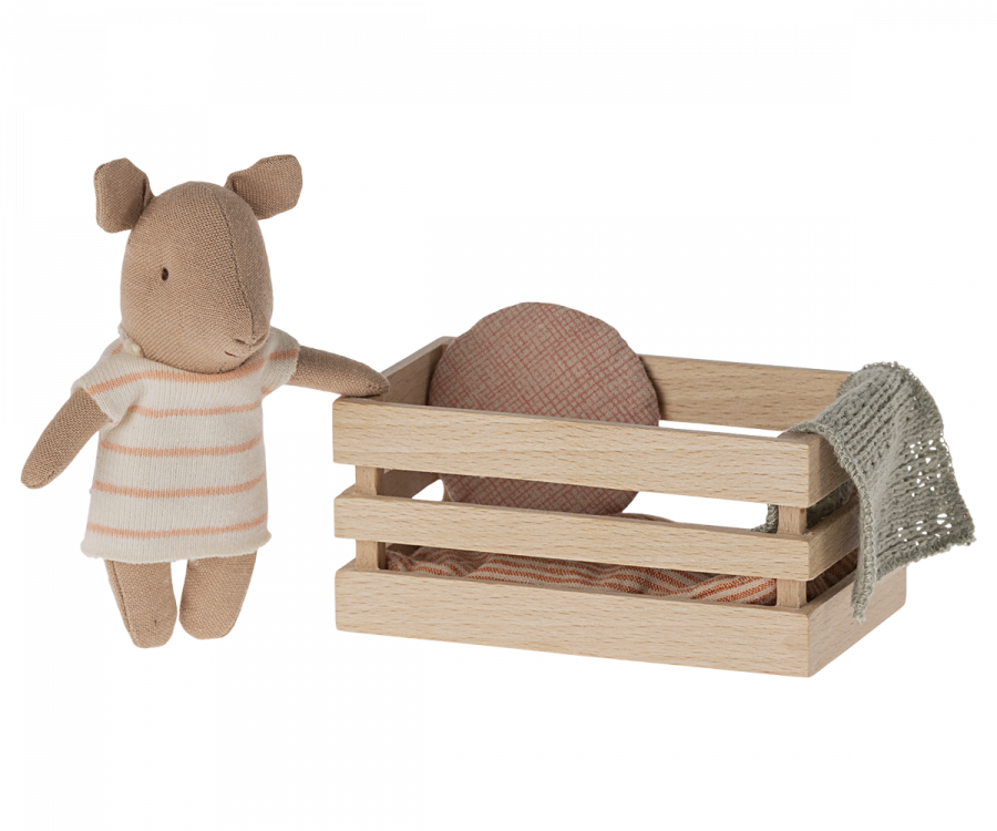 Schwein, Baby in Box - Mädchen