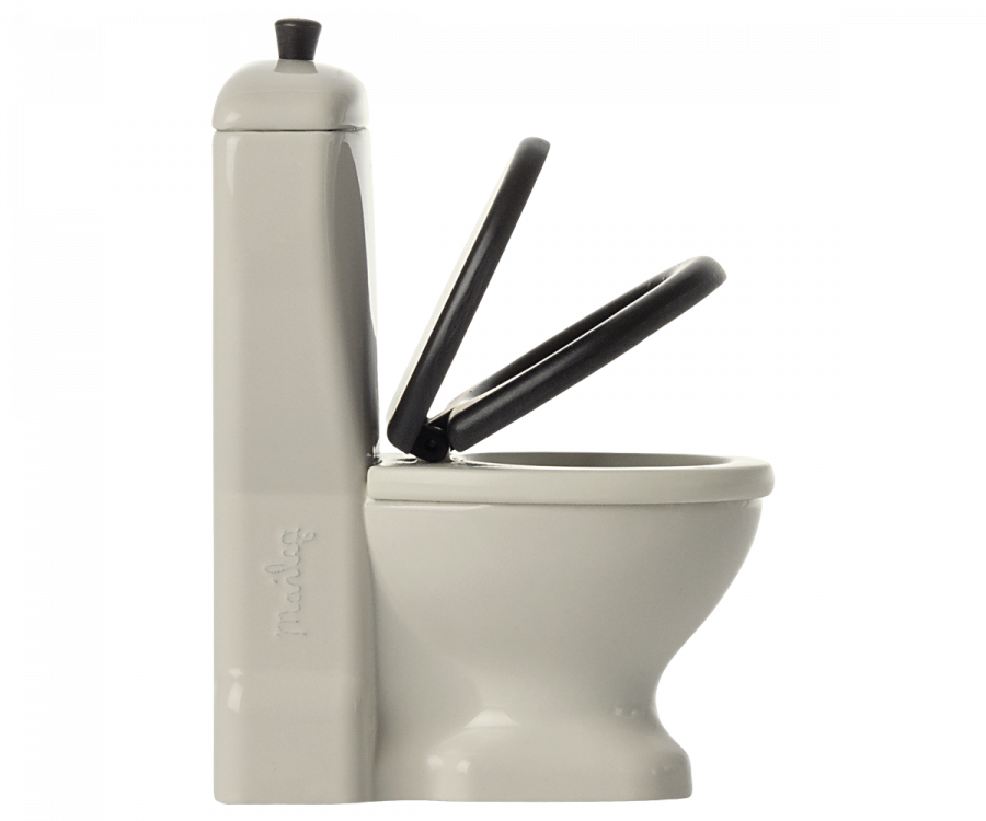 Toilet, Mus