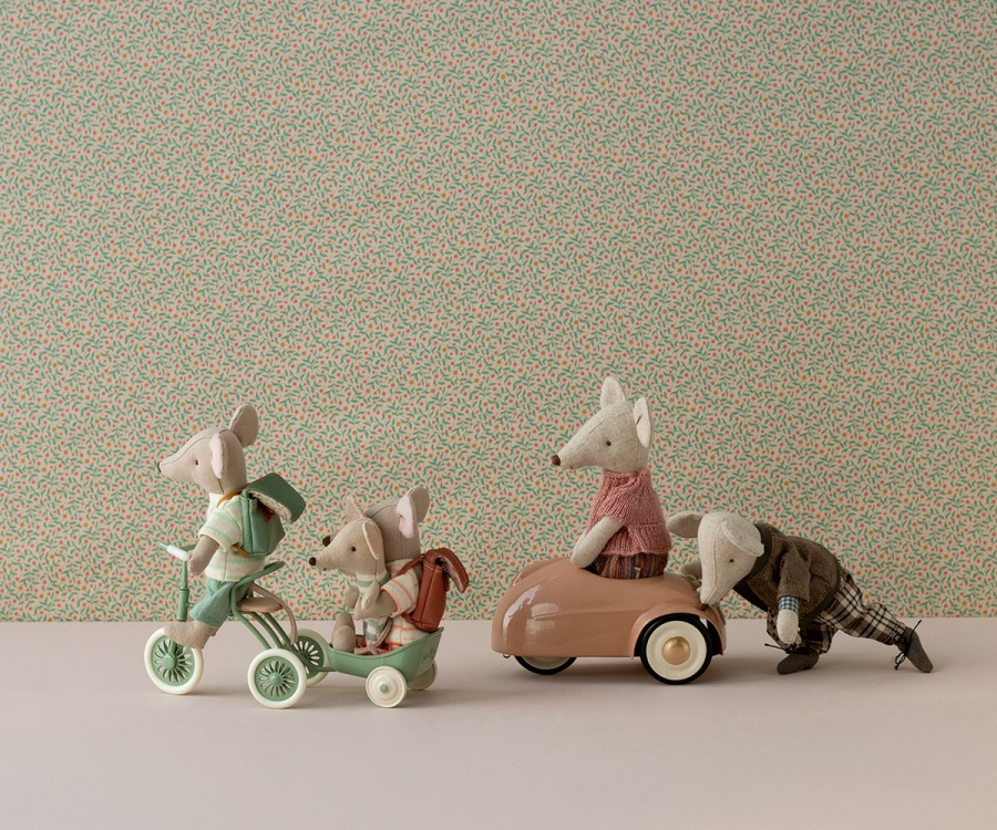 Voiture Souris - Rose 'Dark Powder'