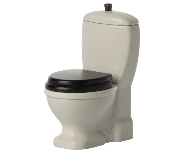 Toilettes, Souris
