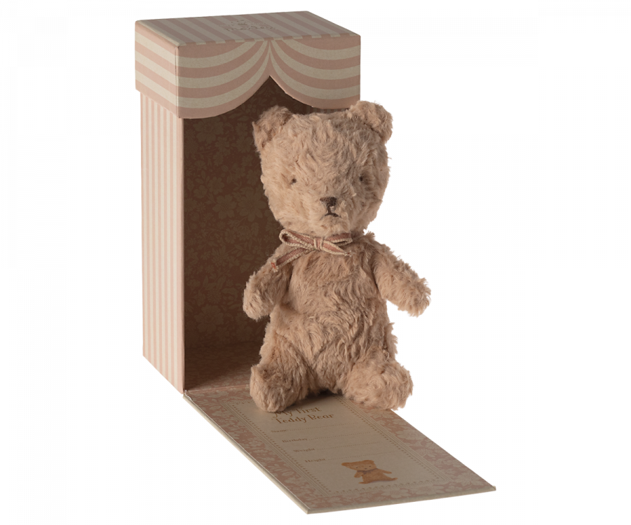 Mon premier Teddy - Poudre