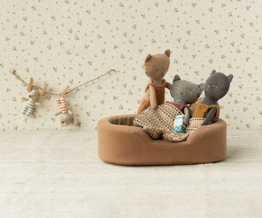 Chatons, Gattino - Grigio