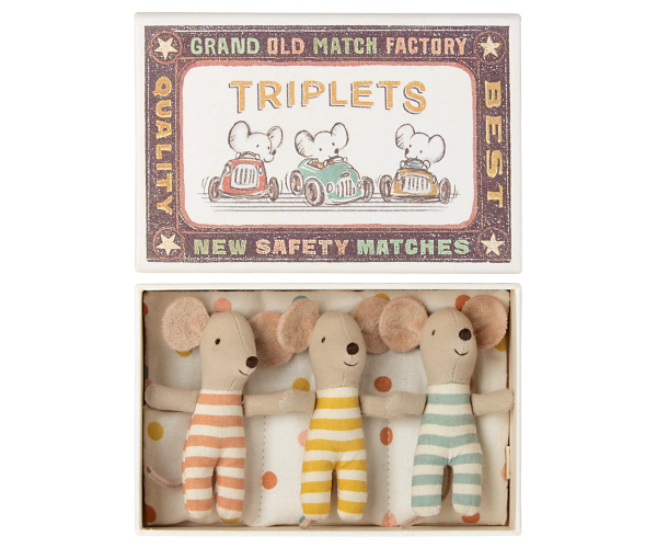 Triplets, Baby mice in matchbox
