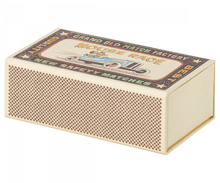 Big brother mouse in matchbox