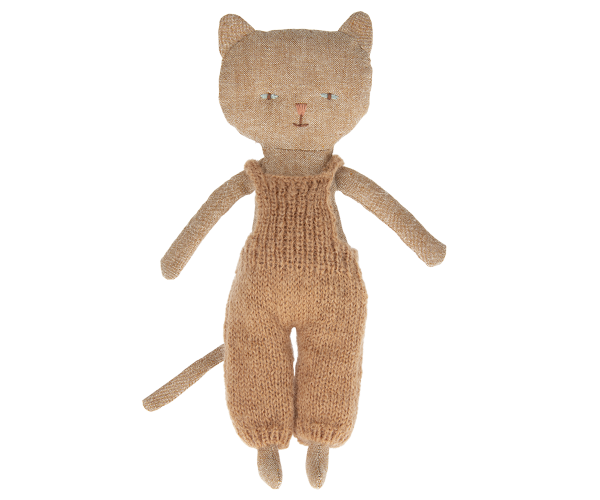 Chatons, Kitten - Ginger