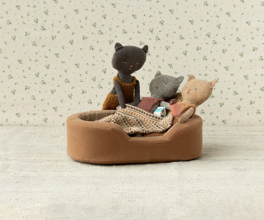 Chatons, Kitten - Black