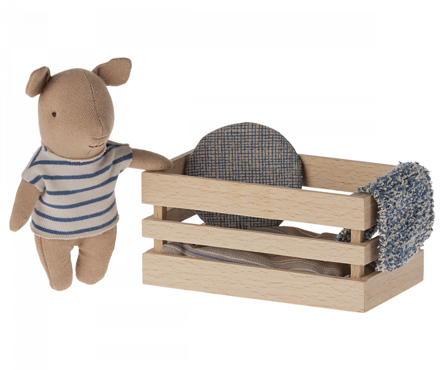 Pig, Baby in box - Boy