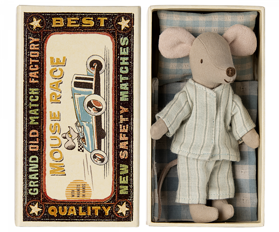 Big brother mouse in matchbox