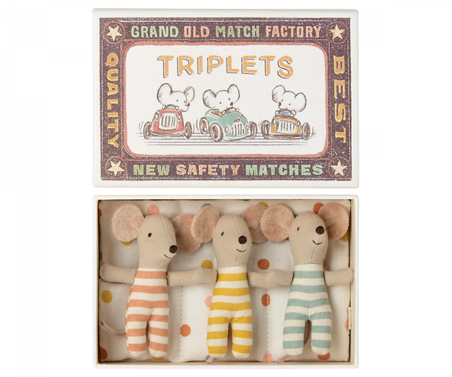 Triplets, Baby mice in matchbox