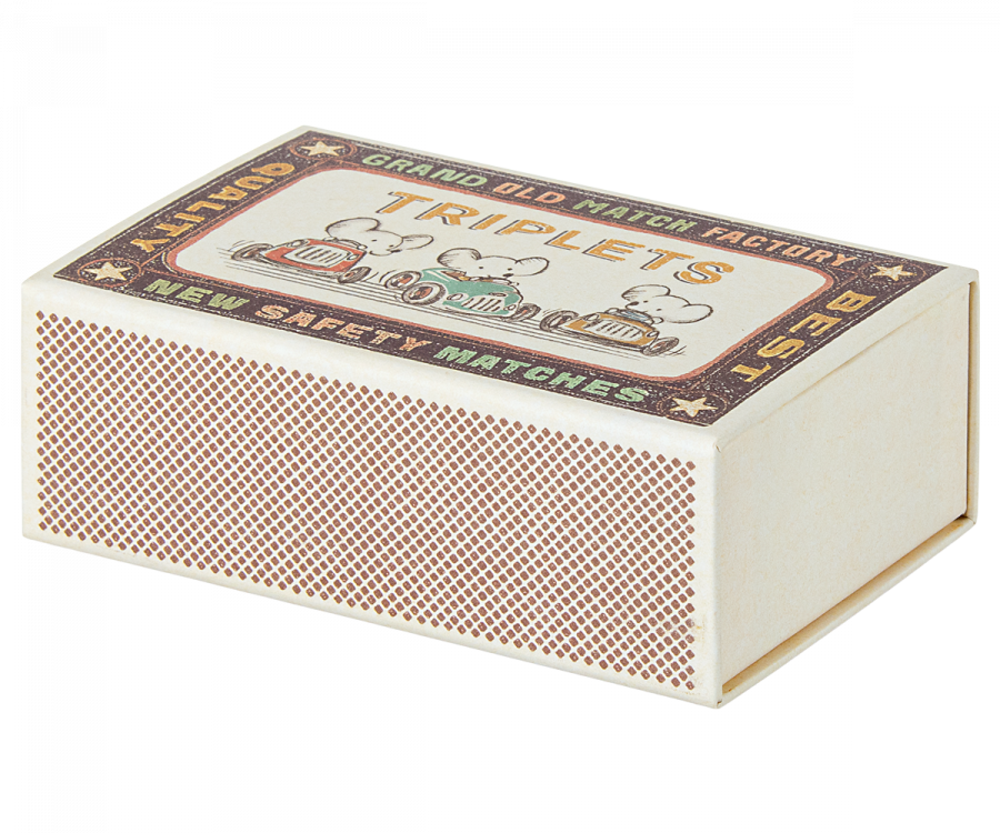 Triplets, Baby mice in matchbox